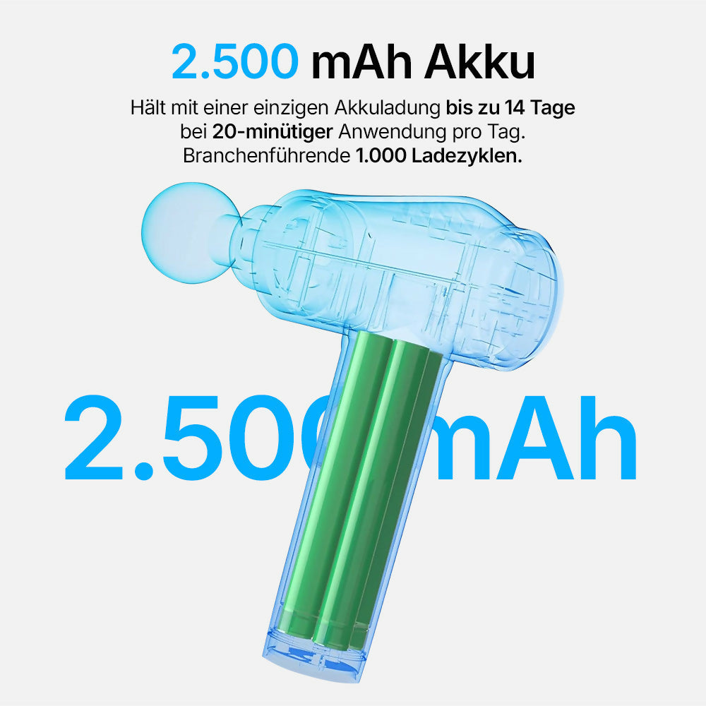 Oryzom ProPulse V1 – Professionelle Tiefenmassage mit 30 Geschwindigkeiten für gezielte Entspannung und lockere Muskeln